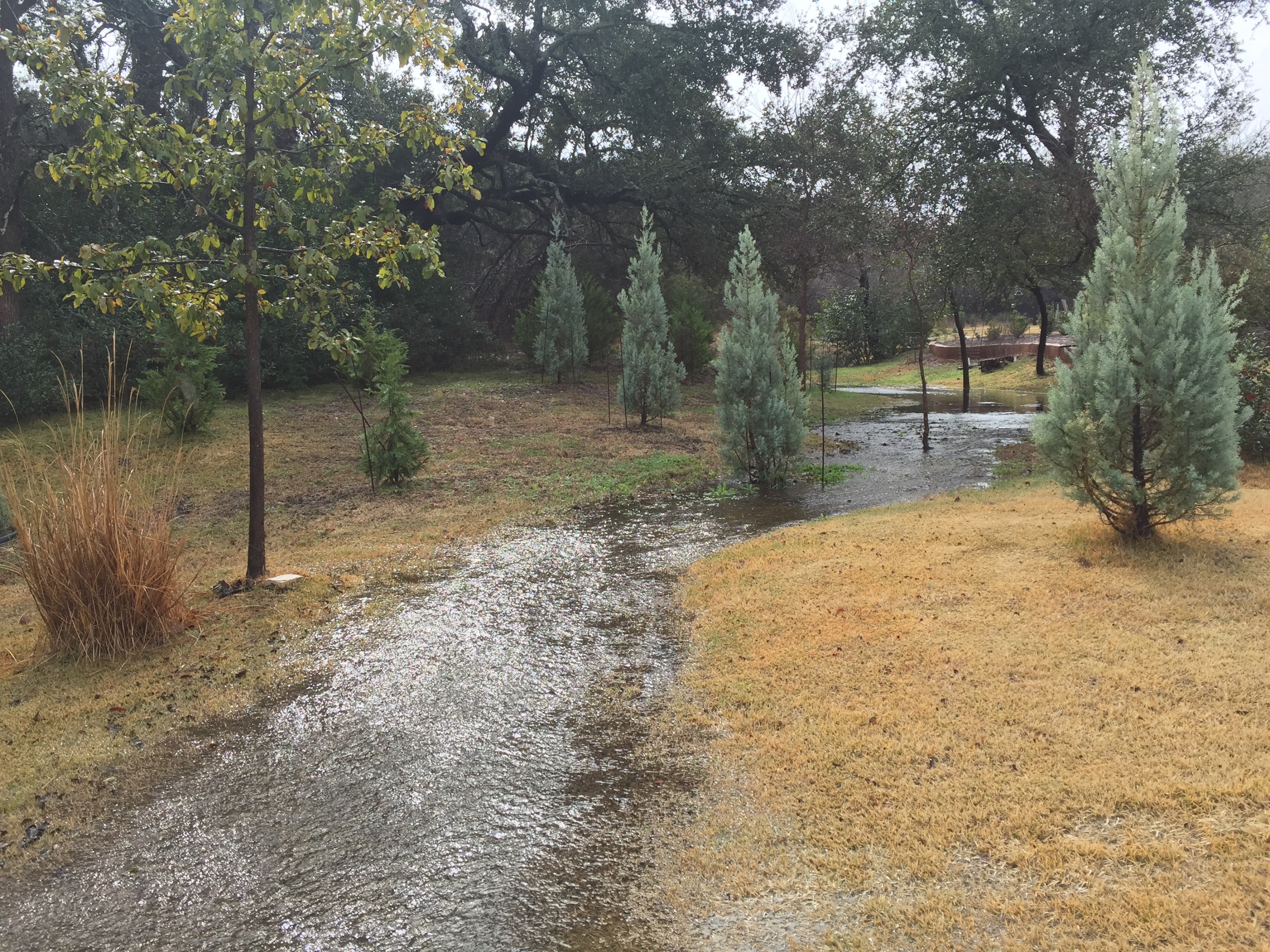 6607 Conifer Cove 69 78736.jpg